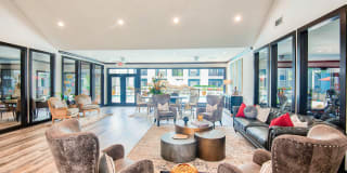 Derby at Steeplechase Gallery 29