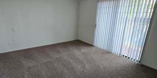 5035 N 10th Place Gallery 12