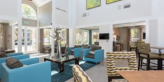 Woodland Meadow Gallery 2