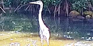 200 S Banana River Boulevard Gallery 42