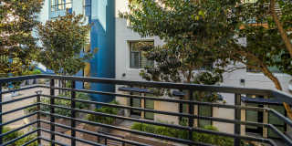 Vista 99 Apartments Vista 99 Apartments Gallery 62