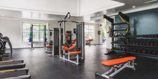 Alister Lake Lynn Gallery 21