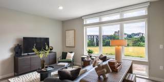 The Collins The Collins Gallery 17