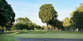 Dolphin Apartments Gallery 37