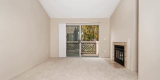 Lantern Cove Gallery 14