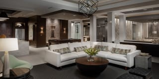 Arcadia Dr. Phillips Arcadia Dr. Phillips Gallery 38