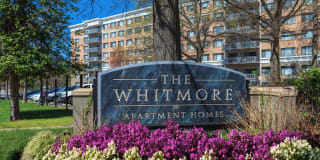 The Whitmore Gallery 31