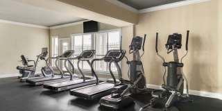 Chattahoochee Ridge Gallery 7