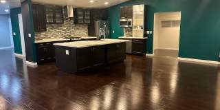 True Beauty! SOLAR Gallery 3