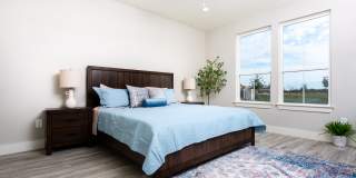 Mihir Taylor Gallery 20