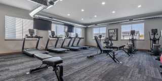 Yukon on Benson Yukon on Benson Gallery 9