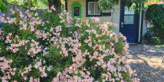 Charming 1BR Condo in Carmichael Gallery 1