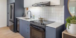 The Frankie Gallery 2