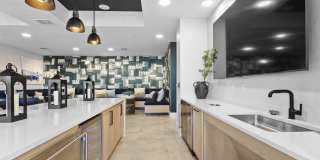 Arabelle Clearwater Gallery 19