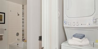 38 Dolores Gallery 27