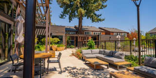 Peartree Apartments Gallery 24