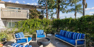 Sofi at Wood Ranch Gallery 27