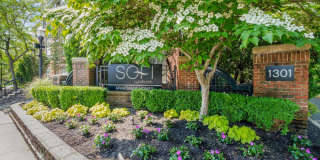 Sofi Lyndhurst Gallery 42