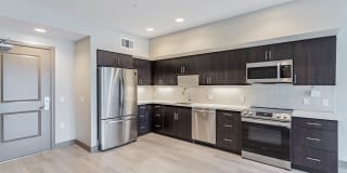 Bayswater Gallery 47