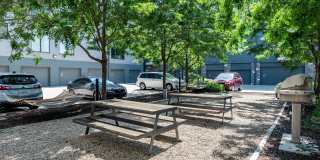Pinnex Gallery 23