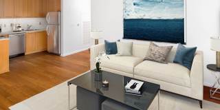 Indigo Gallery 40