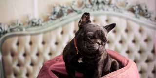 District at Riverside Gallery 58