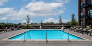 Top of The Mount Gallery 11