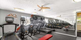 TGM Shadeland Station Gallery 12