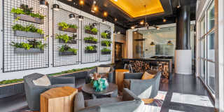 South & Hollis South & Hollis Gallery 4