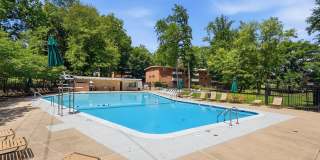 Glenmont Forest Gallery 53