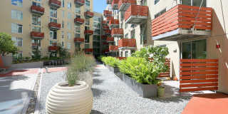 Rincon Green Gallery 1