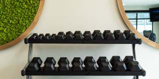 Nolan Mains Gallery 106