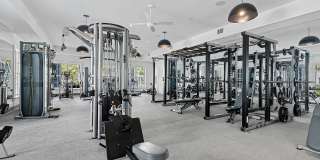 Ivory Lantana Gallery 16