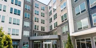 Opal Largo Station Gallery 46