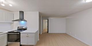 University Manor - Newly Renovated Units just a short walk from Campus! Gallery 30