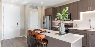 Alta Avondale Gallery 19