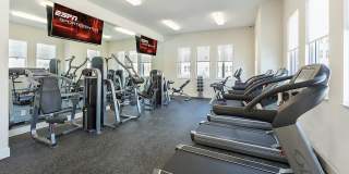 The Olivia Apartments Gallery 15