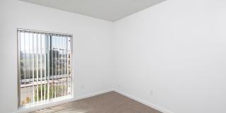 Volterra at La Mesa Gallery 63