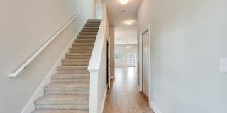-- Gallery 11