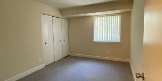 Northgate Gallery 175