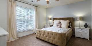 Atlantic Palms Gallery 8