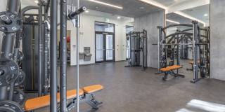 Azola South Tampa - Apartment & Townhome Gallery 5