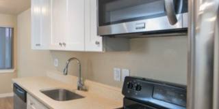 Fresco Apartments Gallery 13