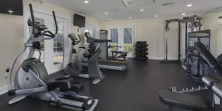 Cameron Cove Gallery 7