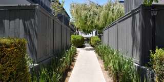 Americana South Bay Gallery 4