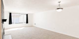 Ironwood Gallery 7