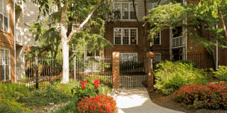 Rosslyn Heights Gallery 83