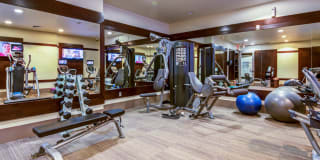 The Carlyle Gallery 8