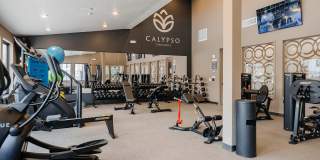 Calypso Gallery 26