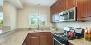 Elán Ocean Walk Apartment Homes Gallery 3